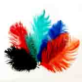Ostrich Feather Plume